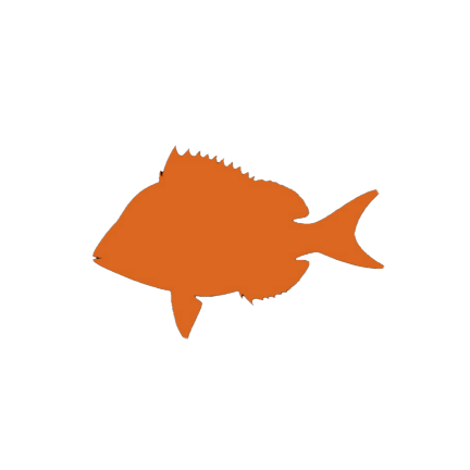 Scup fish — The Boat Seafood Inc